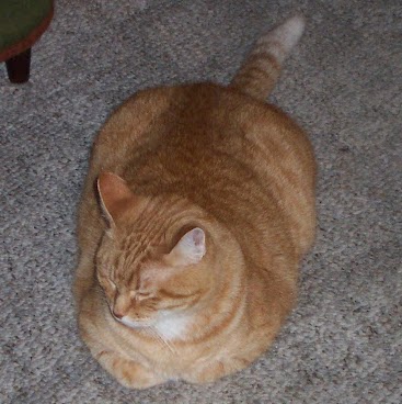 Joyce Harmon Photo 3