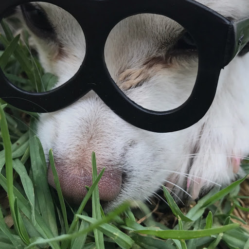 Wanda Jackson Photo 10