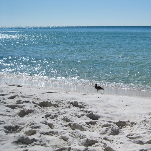 Lori Duncan Photo 31