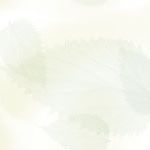 Michael Donegan Photo 36 Michael Donegan Photo 36