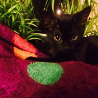 Dan Shumaker Photo 8