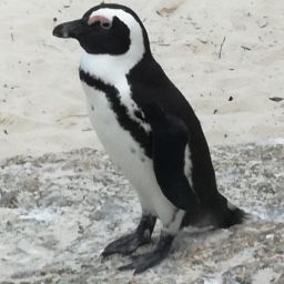 Doris Wagner Photo 26