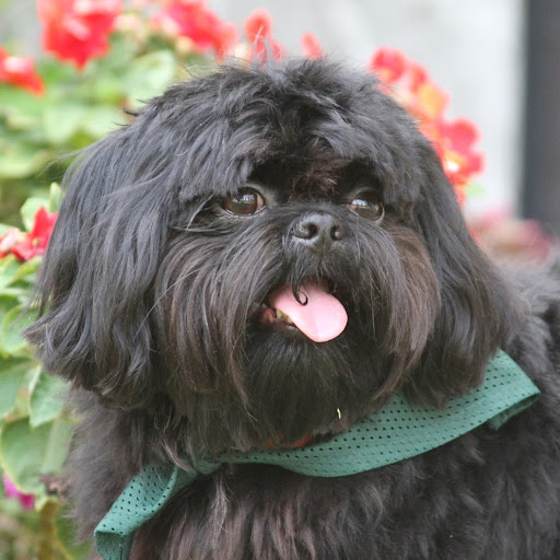 Sandra Gibson Photo 28