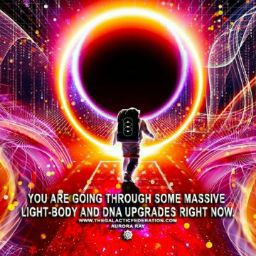 Ellen O'Connor Photo 15