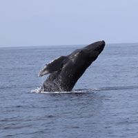 Beth Musser Photo 25