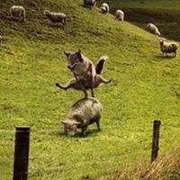 Rachel Harper Photo 17