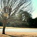 Robyn Bare Photo 4