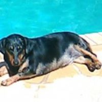 Kathy Furlong Photo 9