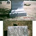 Elizabeth Everhart Photo 26