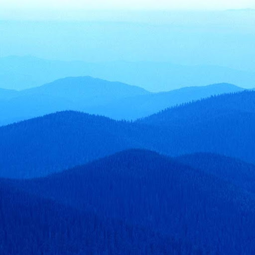 Daniel Welsh Photo 12