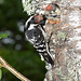 David Villatoro Photo 36