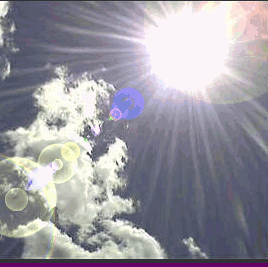 William Tuttle Photo 31