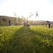 Matthew Kite Photo 26