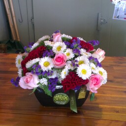 Anthony Cornelius Photo 12