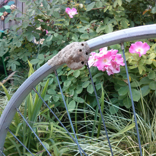 David Gibbs Photo 27 David Gibbs Photo 27