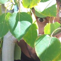 Robert Romero Photo 47