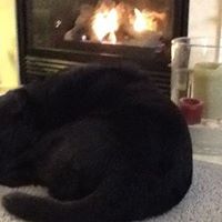 Nancy Saving Photo 1