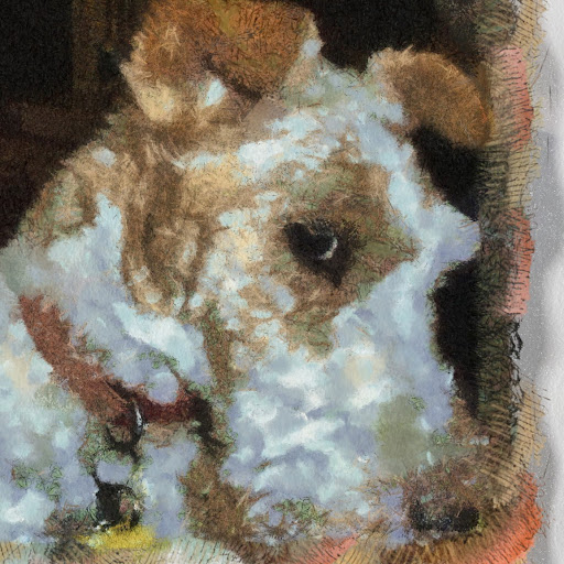 Robert Mccartney Photo 13 Robert Mccartney Photo 13