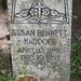 Susan Haddock Photo 14