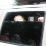 Susan Kilgore Photo 7