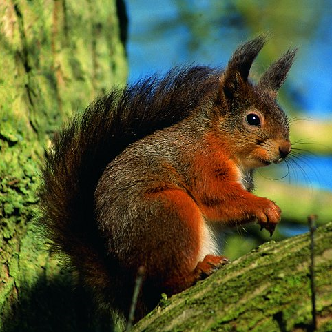 Michelle Langston Photo 24