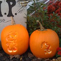 Sandra Dickerson Photo 15