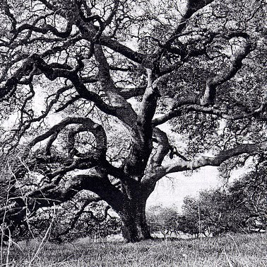 Meredith Hixson Photo 4