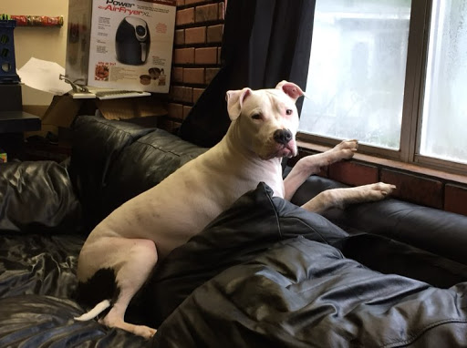 Kristi Nichols Photo 31