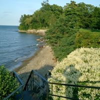 Jeffrey Hook Photo 13