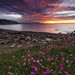 Lee Duda Photo 7