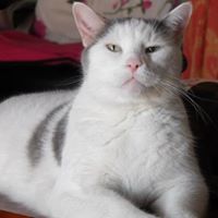 Kathleen Mackenzie Photo 34