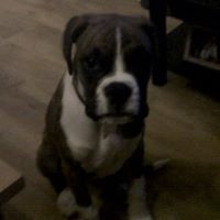 Christine Piper Photo 24