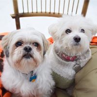 Jennifer Johansen Photo 13