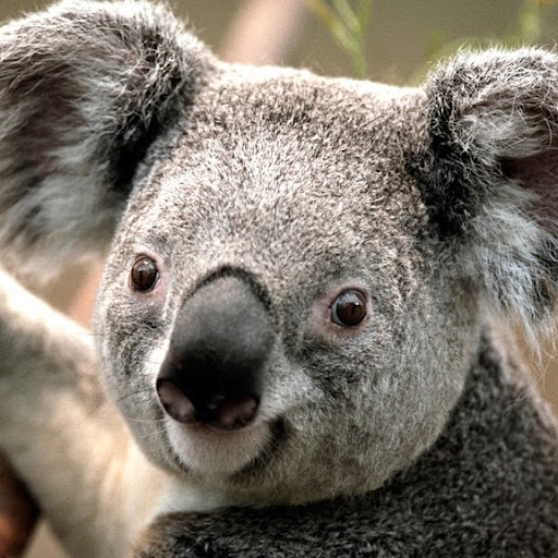 Christina Harding Photo 14