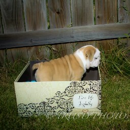 Michelle Trusty Photo 3