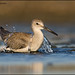 Greg Opp Photo 4