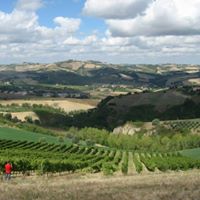 Joseph Hardwick Photo 19