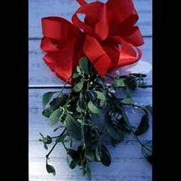 David Casto Photo 14