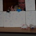 Lynn Hodge Photo 14