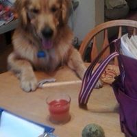Sherry Lord Photo 13