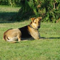 Christine Costantino Photo 7