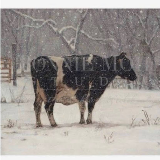 Colleen Schneider Photo 29