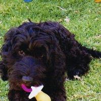 Diane Mcmillan Photo 23