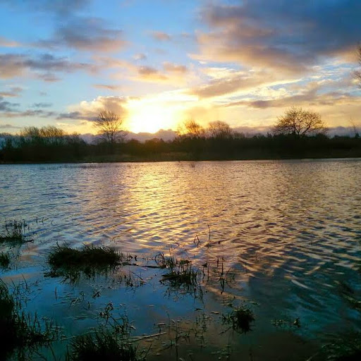 Martin Coyle Photo 18