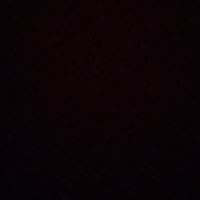 Nicholas Pruitt Photo 8