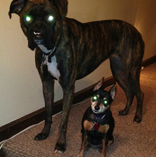 Tracy Flanagan Photo 30