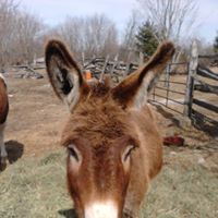 Christine Stilwell Photo 8