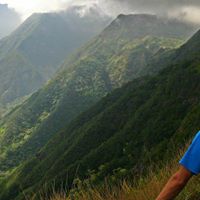 Jeffrey Scheer Photo 3