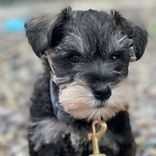 Matthew Downey Photo 34