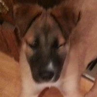 Jeanne Elliott Photo 24